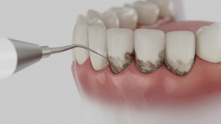 Reliable Dental contractor in Country Squire Lakes, IN by Dentist Open Now